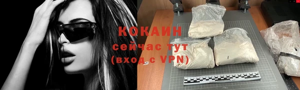 меф Няндома